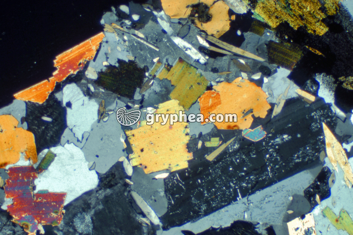 Granite LPA x10 - gryphea.com